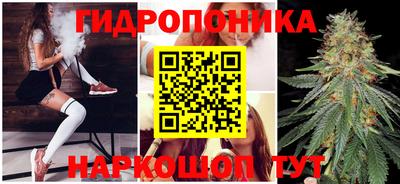 бошки Кимры