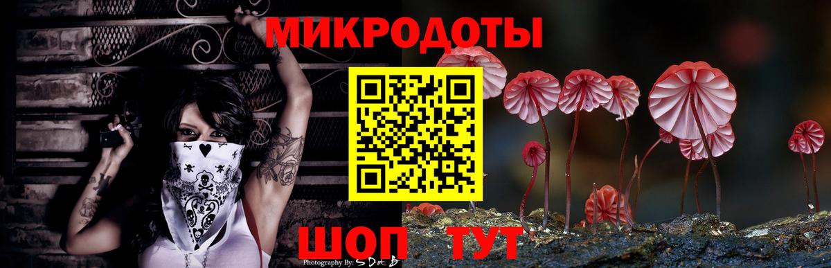 Галлюциногенные грибы Psilocybe Красногорск